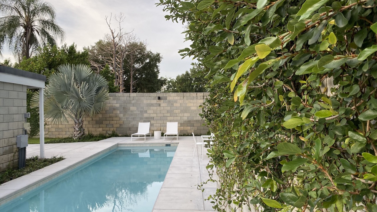 Photo of Outdoor in Winter Haven