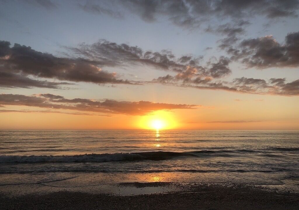 Photo of Others in St. Pete Beach