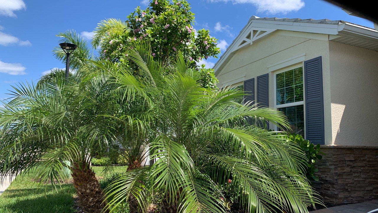Photo of Outdoor in Bonita Springs