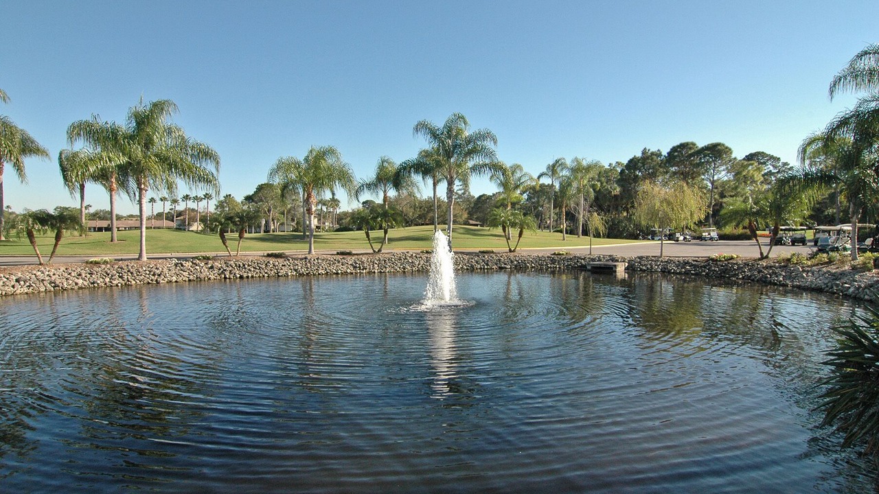 Photo of Outdoor in The Meadows