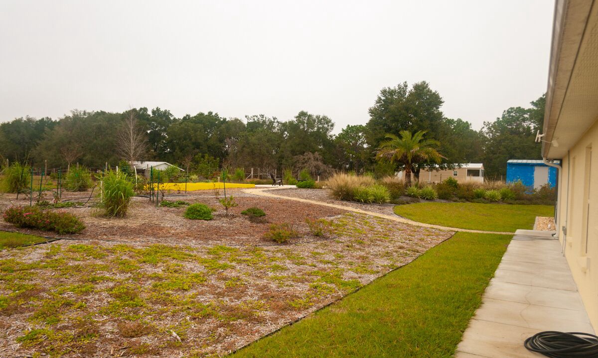 Photo of Outdoor in Floral City