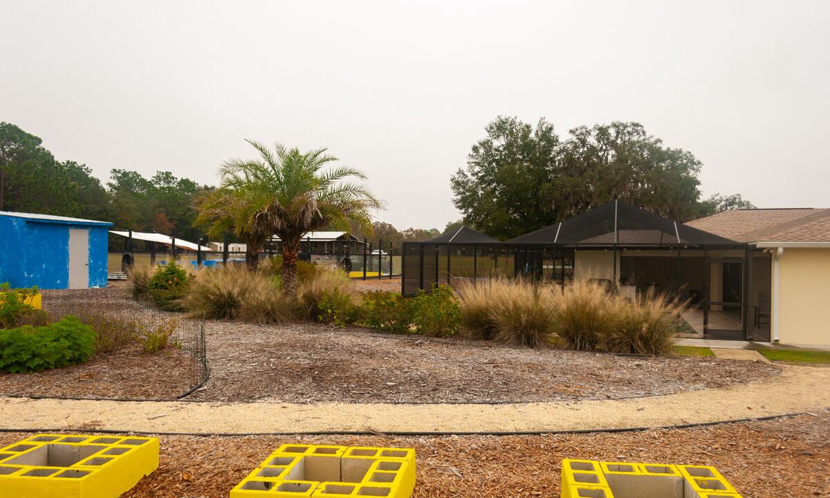 Photo of Outdoor in Floral City