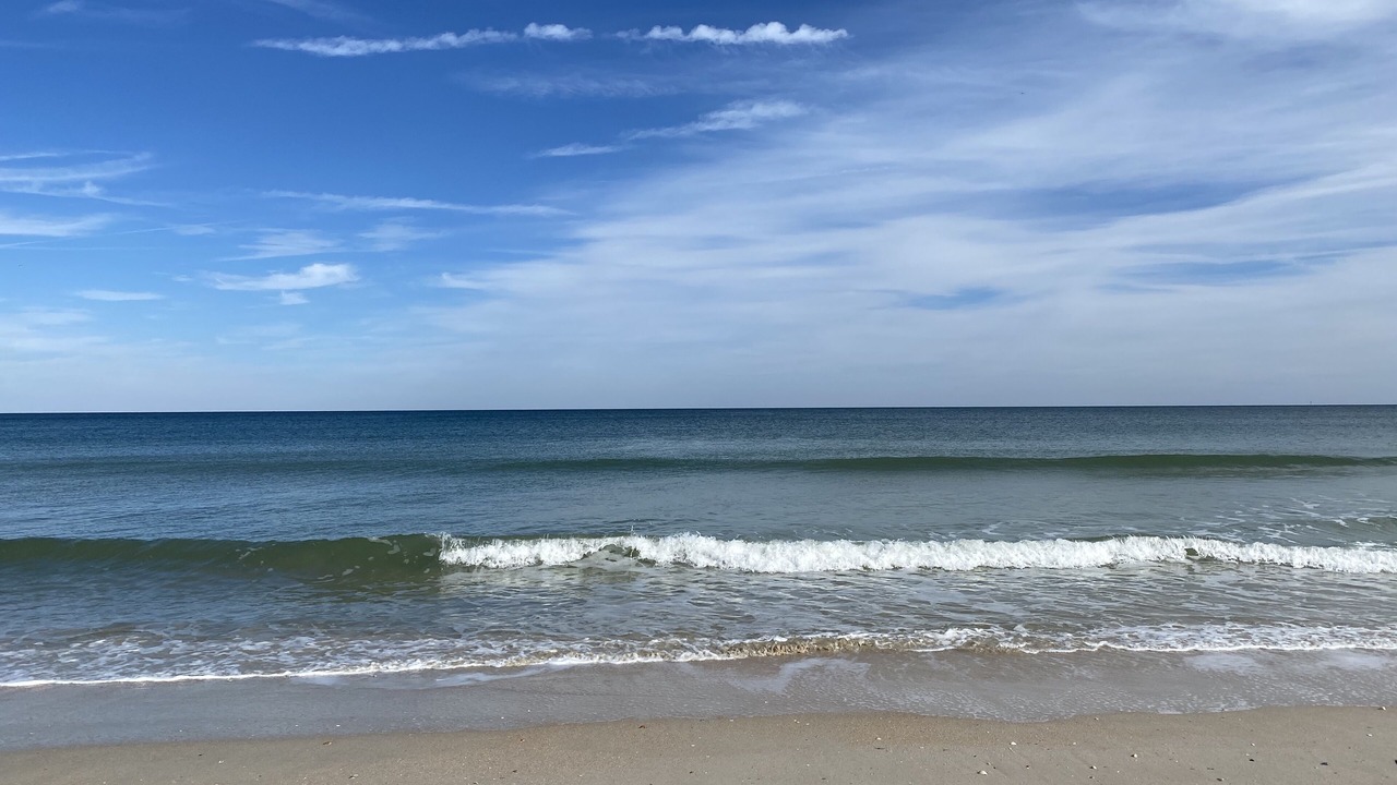 Photo of Others in Ponte Vedra Beach