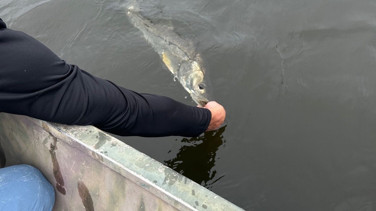 Photo of Others in Crystal River