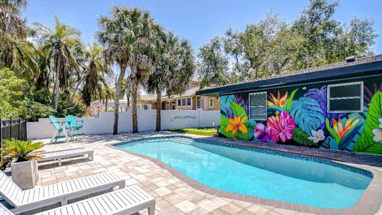 Photo of Outdoor in St. Petersburg - Clearwater