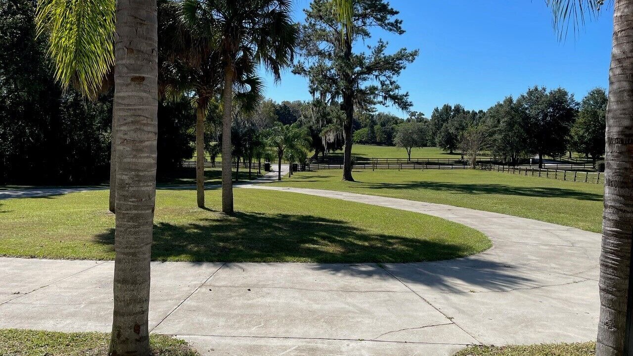 Photo of Outdoor in Ocala