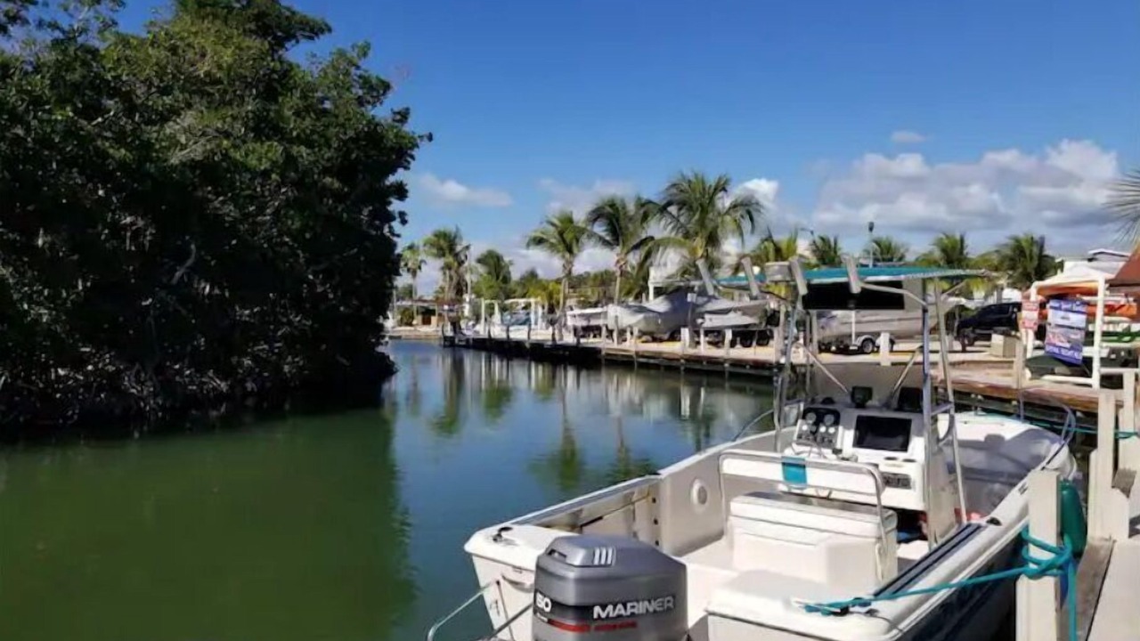 Photo of Others in Key Largo