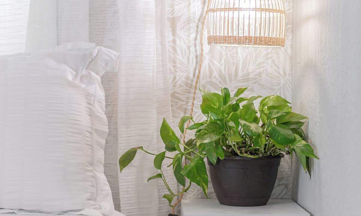 Photo of Bedroom in Dixieland