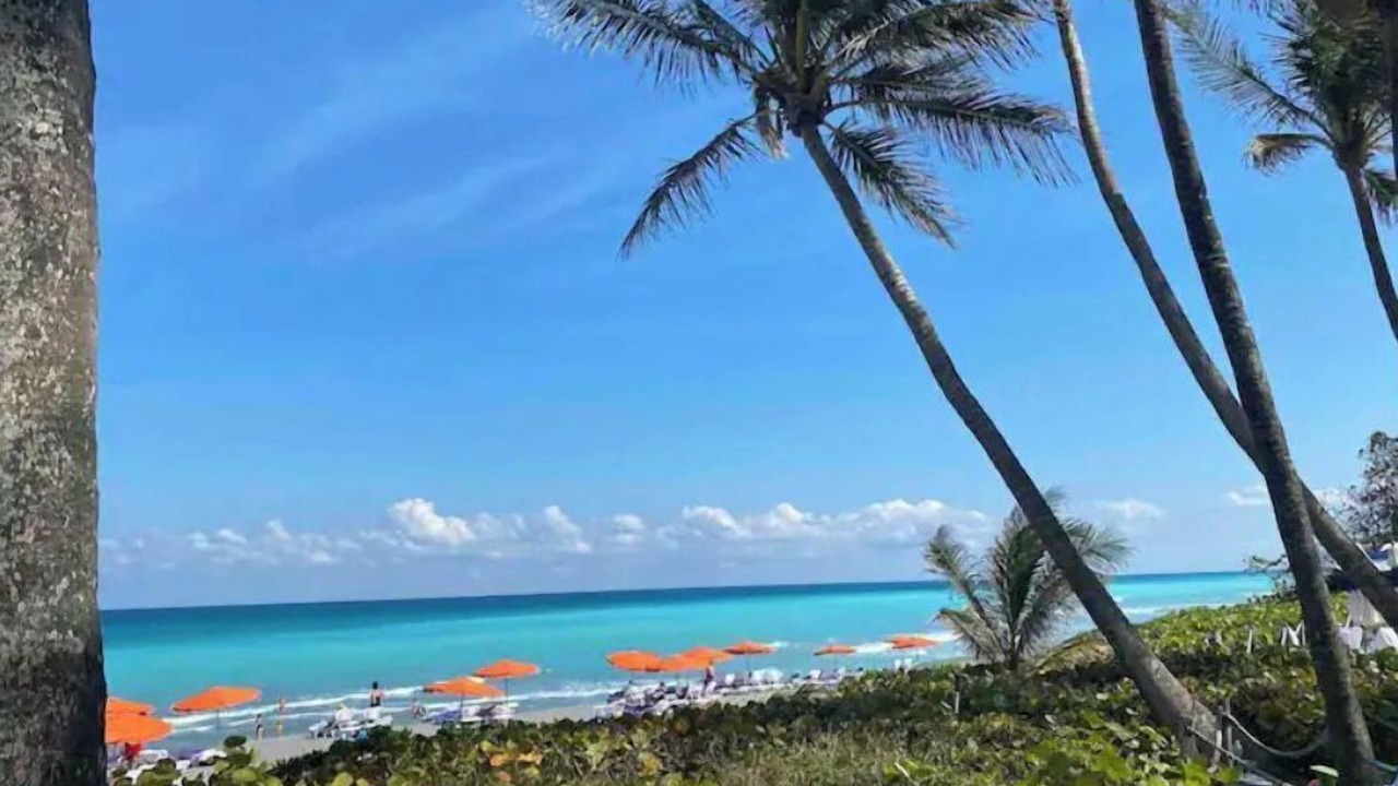 Photo of Others in Jupiter Bay