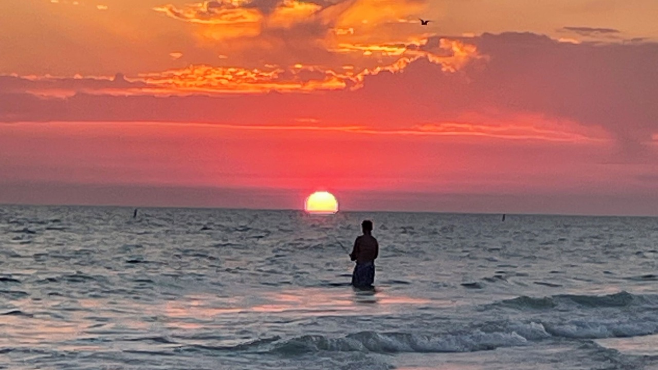 Photo of Others in North Redington Beach