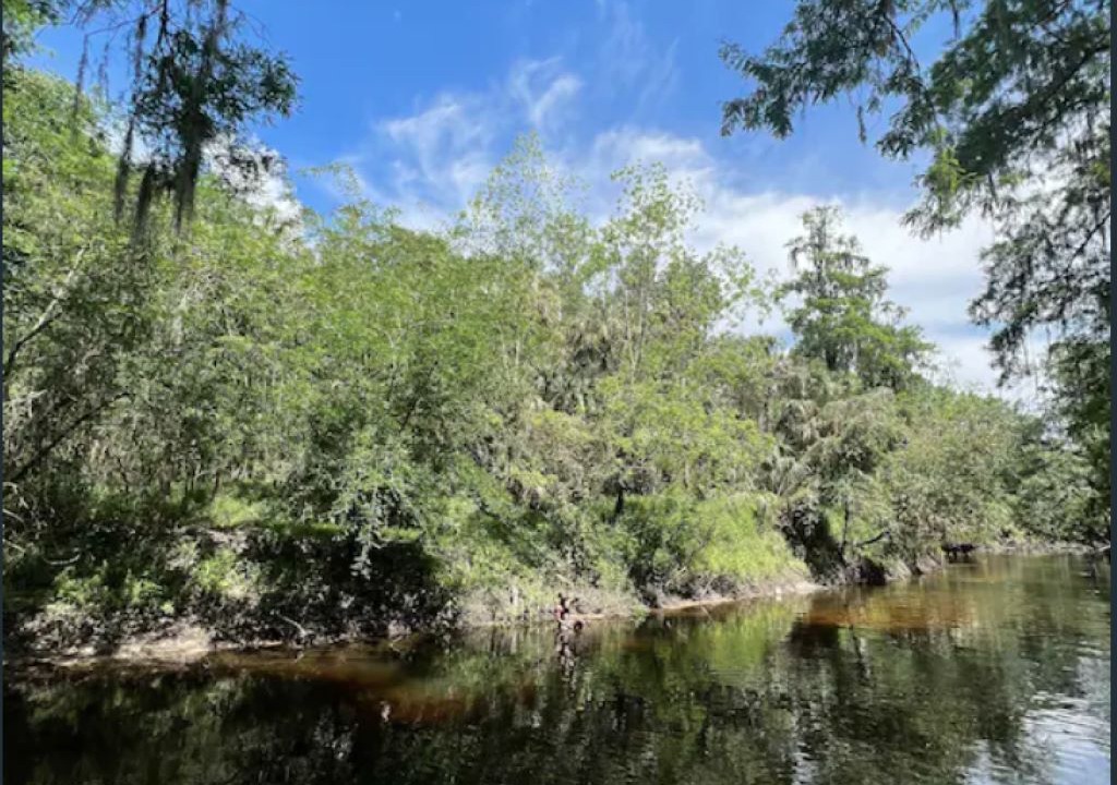 Photo of Outdoor in Fish Hawk