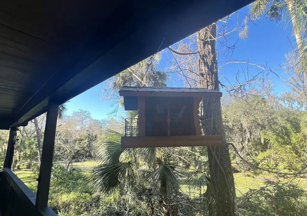 Photo of Outdoor in Fish Hawk