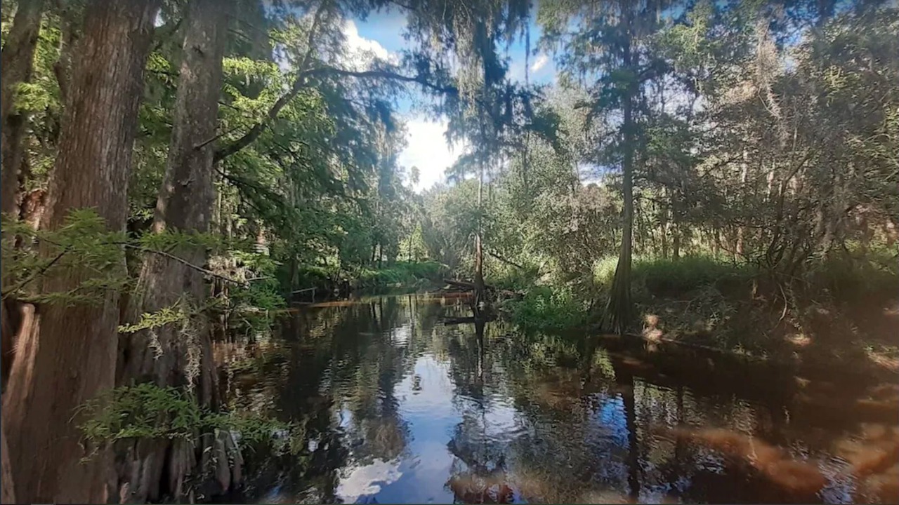 Photo of Outdoor in Fish Hawk