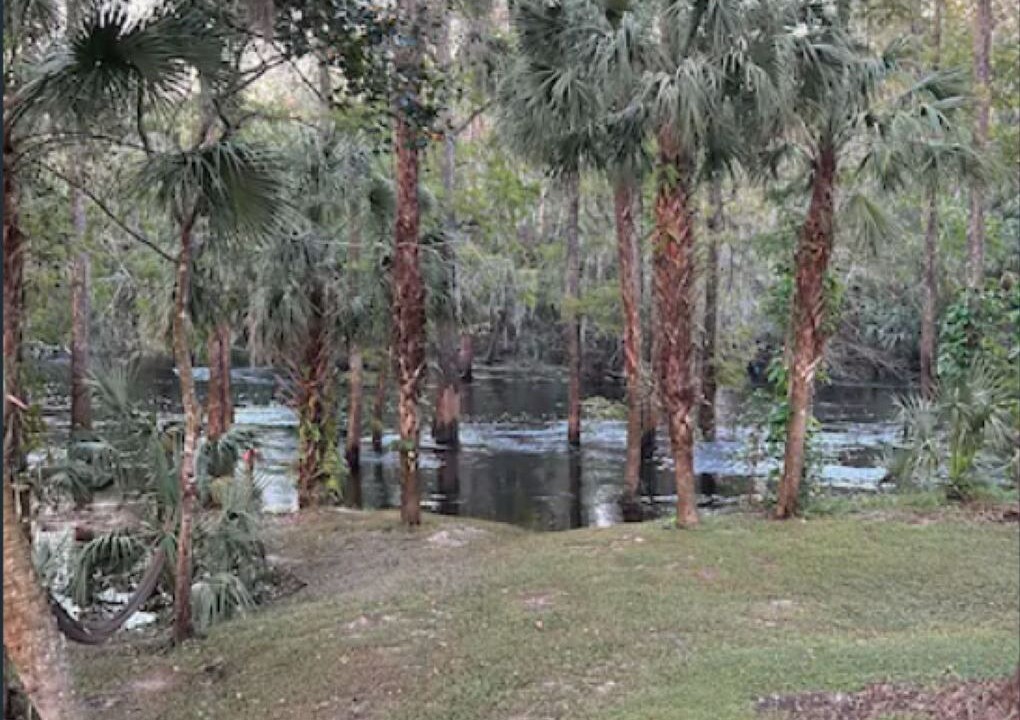 Photo of Outdoor in Fish Hawk