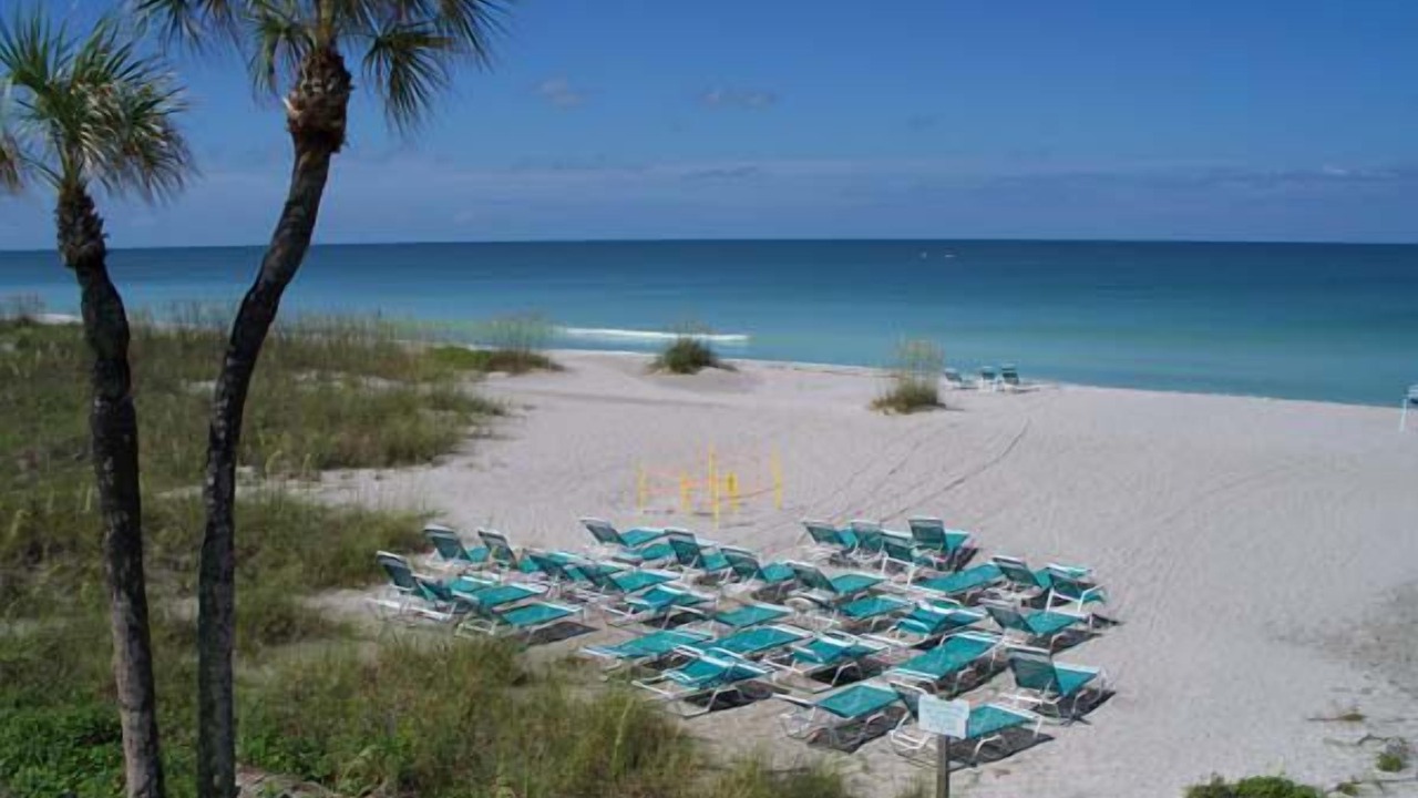 Photo of Others in Longboat Key