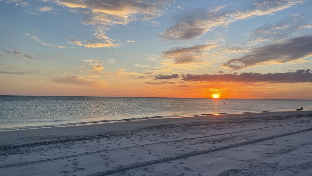 Photo of Others in Longboat Key