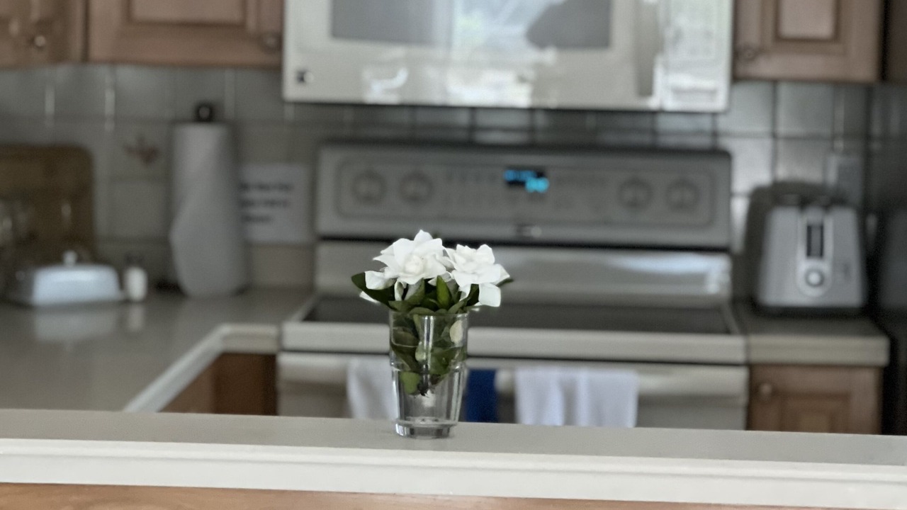 Photo of Kitchen in North Fort Myers