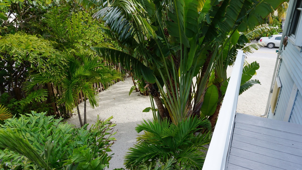 Photo of Outdoor in Cutthroat Harbor Estates