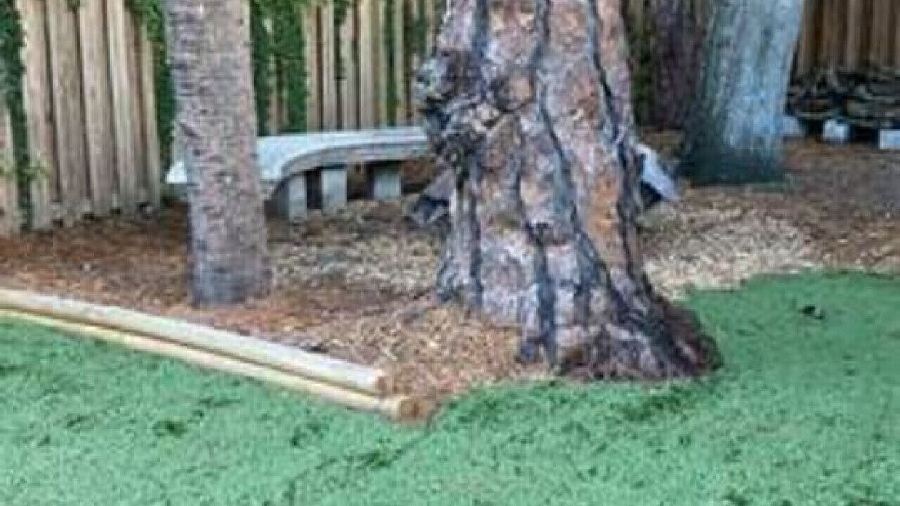 Photo of Others in Central Sarasota