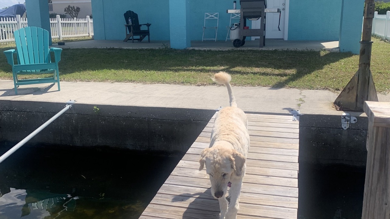 Photo of Others in Hudson Beach Estates