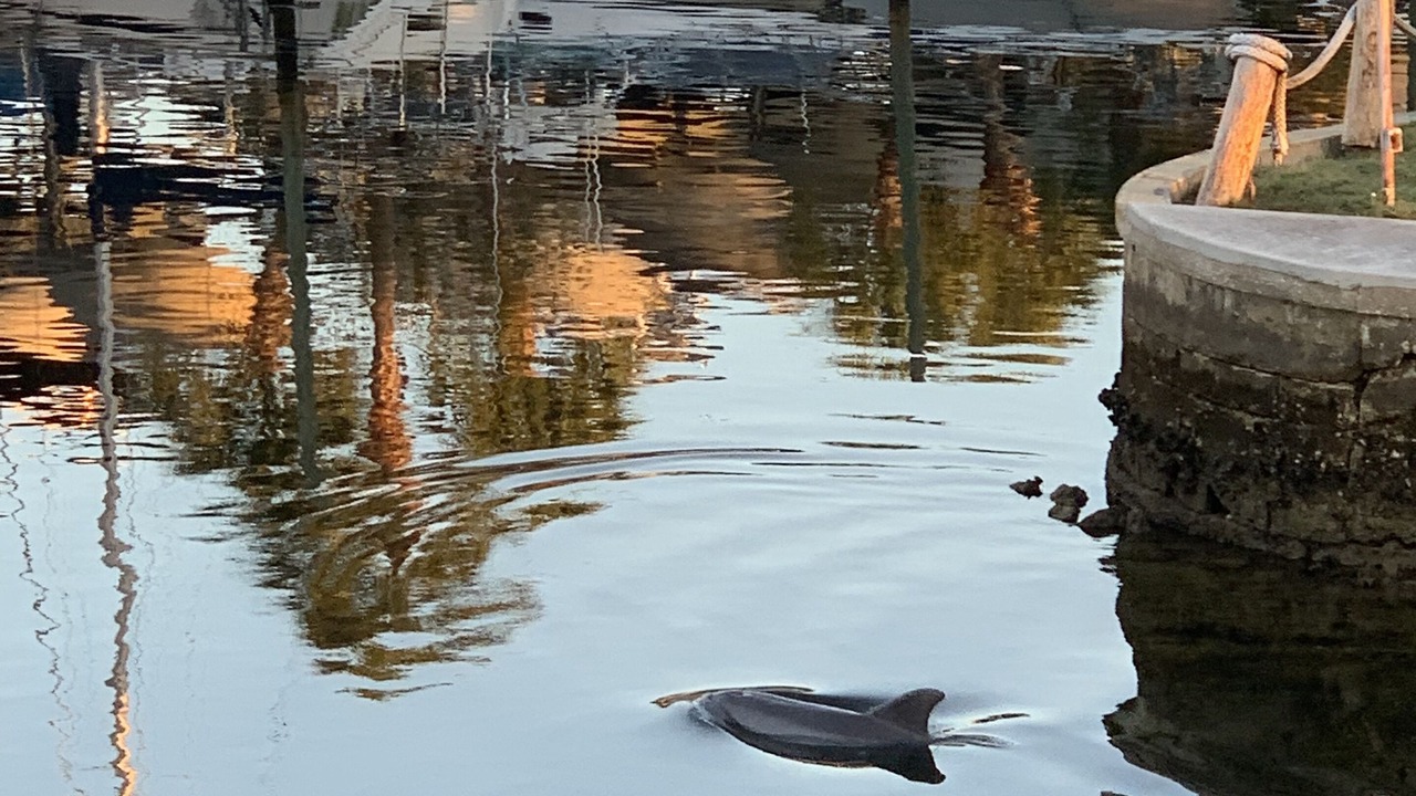 Photo of Others in Hudson Beach Estates