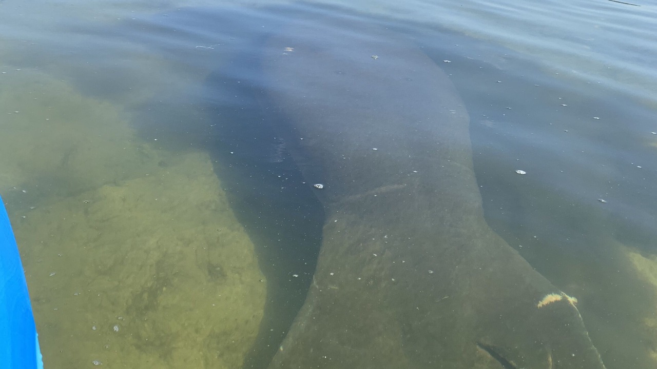 Photo of Others in Hudson Beach Estates