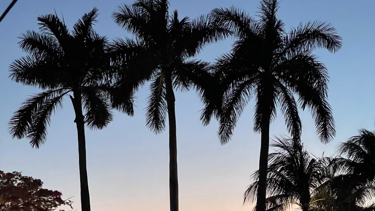 Photo of Others in Delray Beach