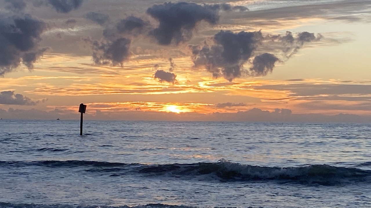 Photo of Others in Clearwater