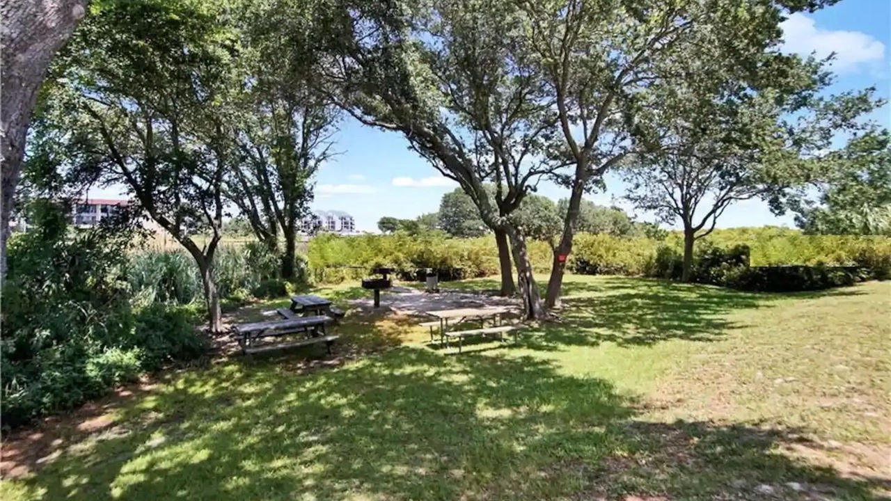 Photo of Outdoor in Folly Field