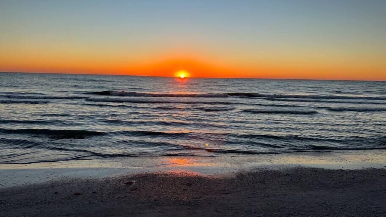 Photo of Others in Indian Shores