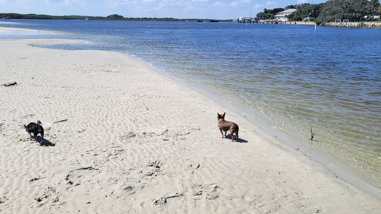 Photo of Others in Edgewater