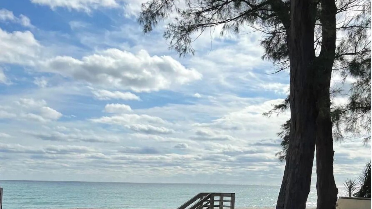Photo of Others in Palm Beach - West Palm Beach
