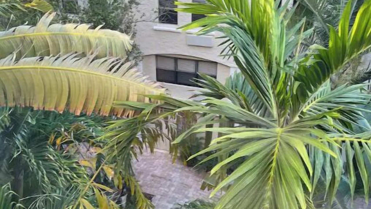 Photo of Outdoor in Palm Beach - West Palm Beach