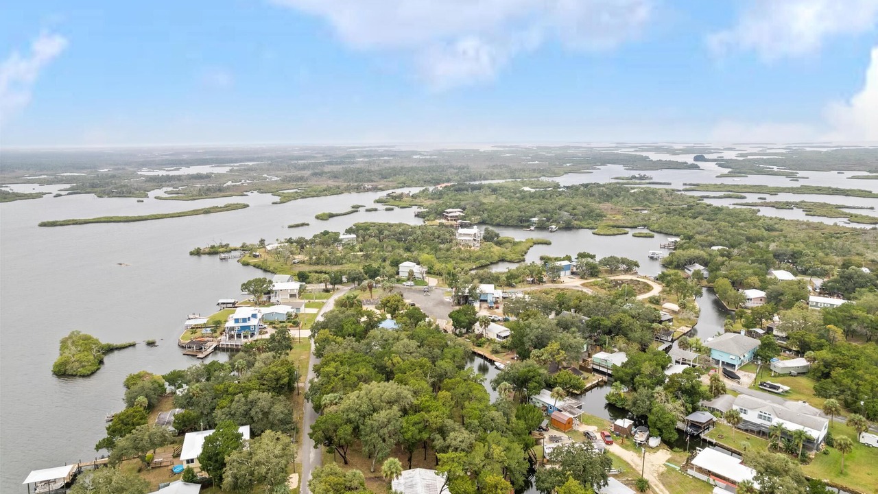 Photo of Others in Crystal River