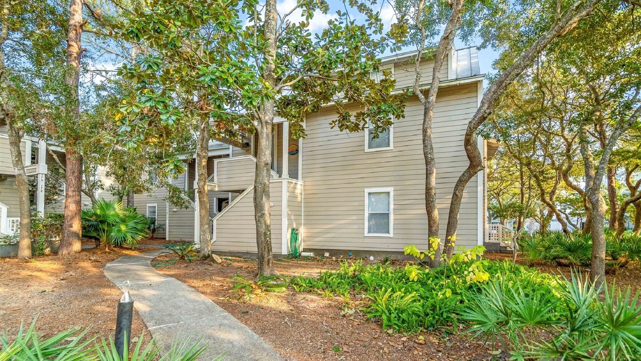 Photo of Outdoor in Gulf Pines