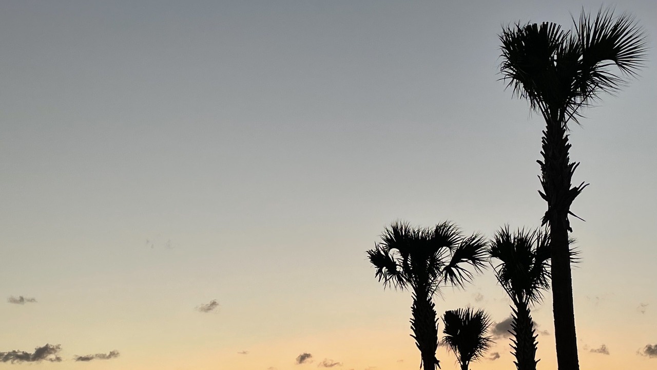 Photo of Outdoor in Wildwood