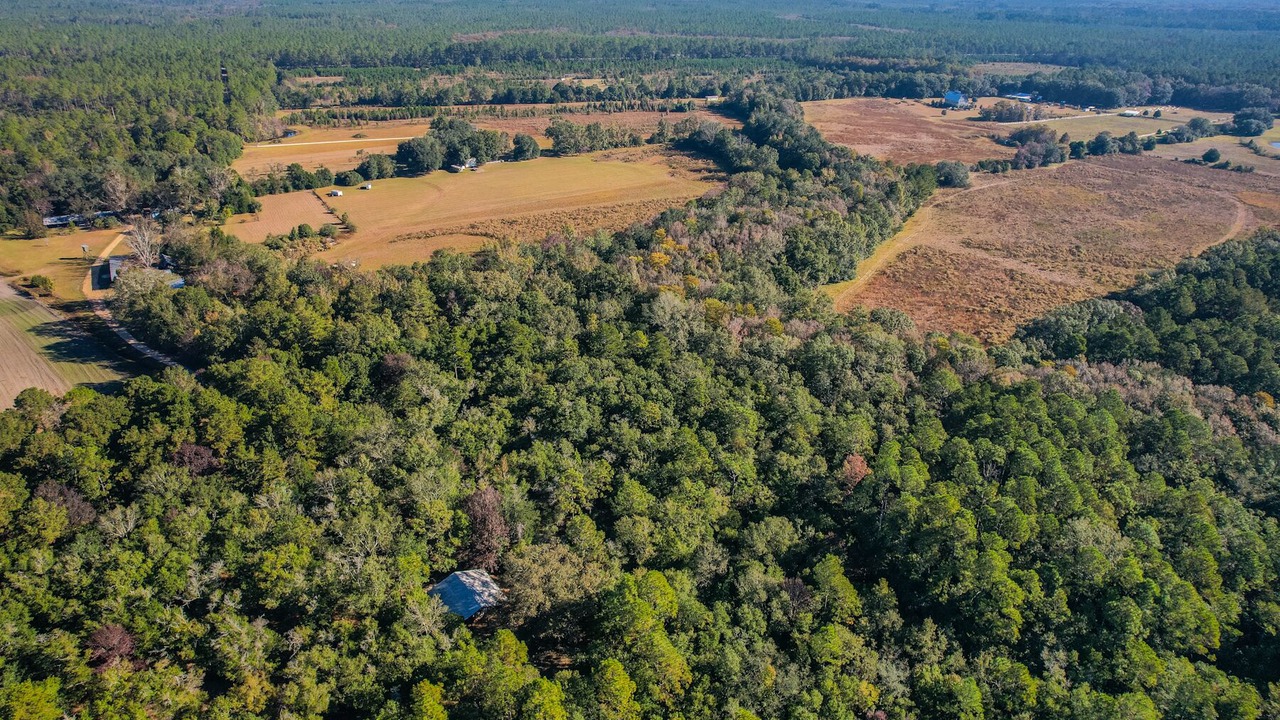 Photo of Outdoor in Ponce De Leon