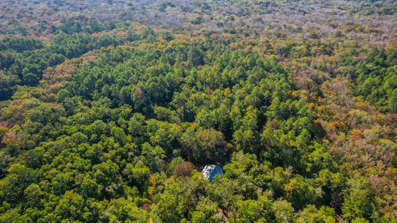 Photo of Outdoor in Ponce De Leon