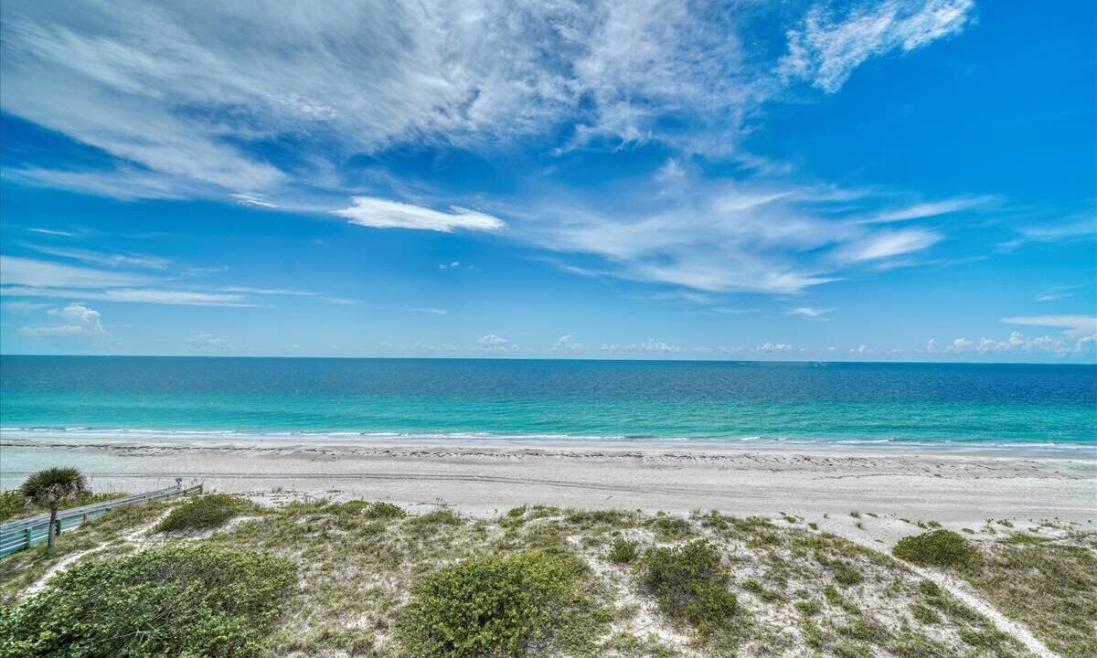 Photo of Others in Indian Rocks Beach