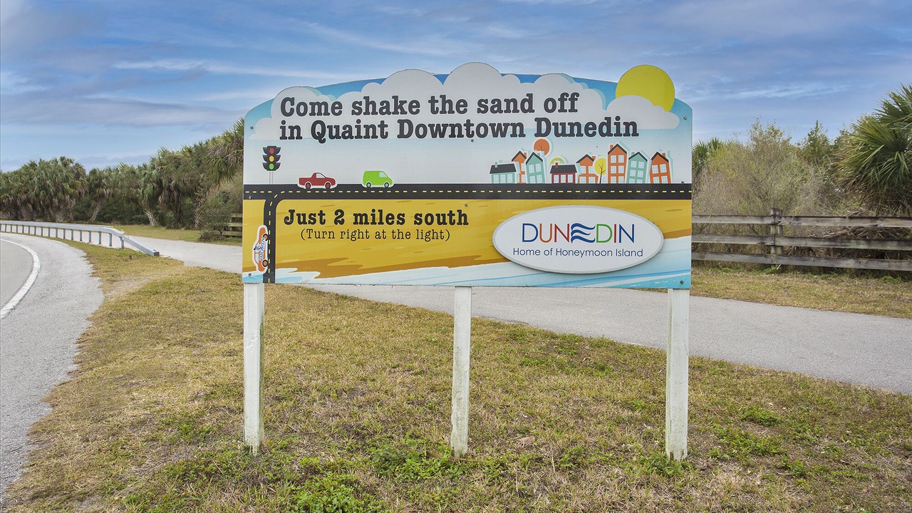 Photo of Others in Dunedin