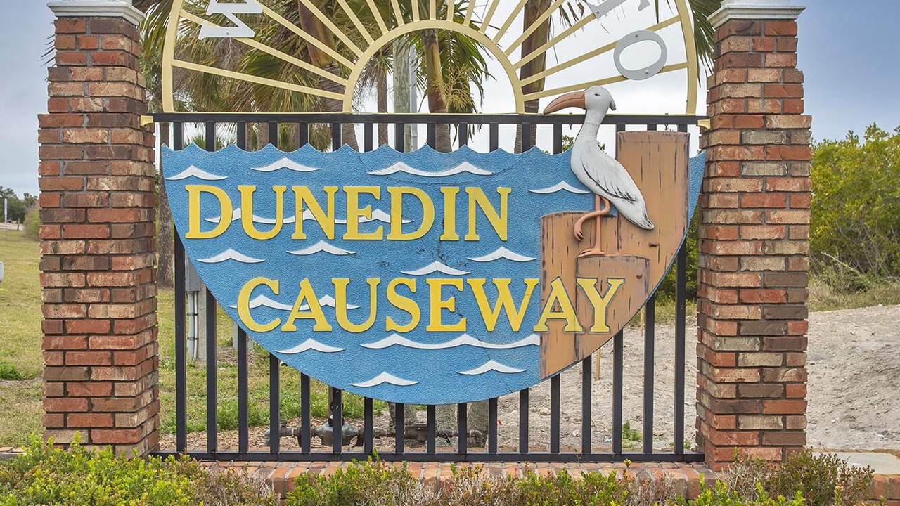 Photo of Others in Dunedin