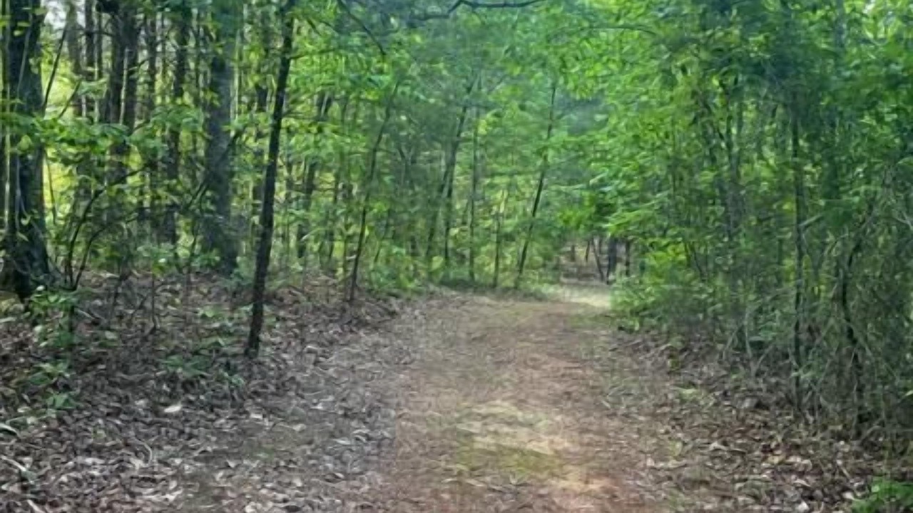 Photo of Others in Tryon