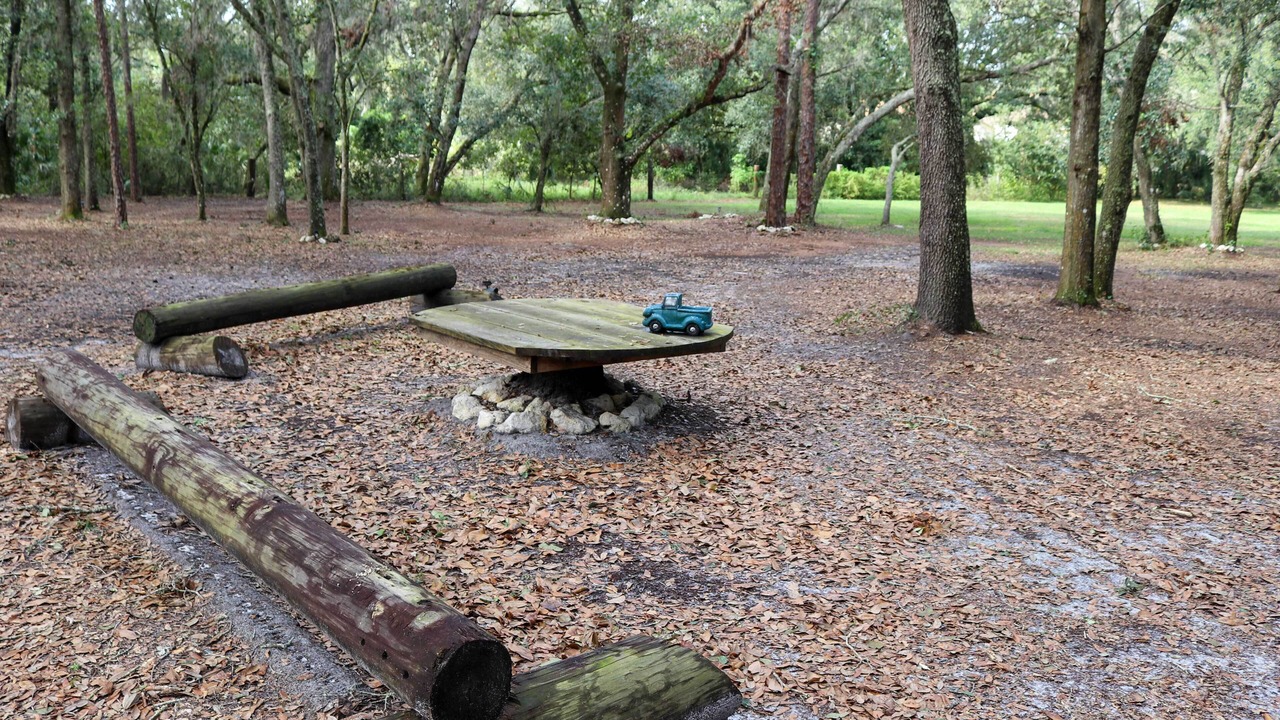 Photo of Outdoor in Valrico