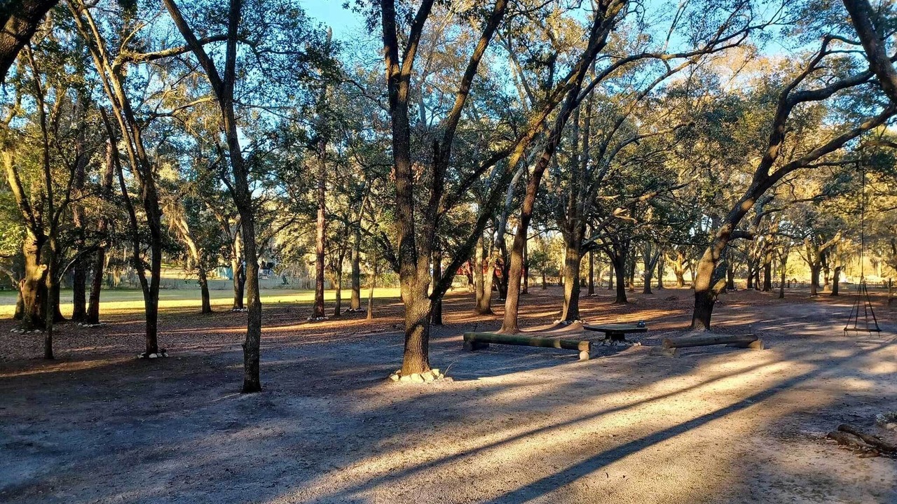 Photo of Outdoor in Valrico