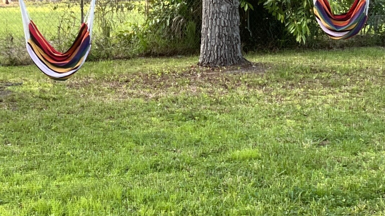 Photo of Outdoor in Nokomis