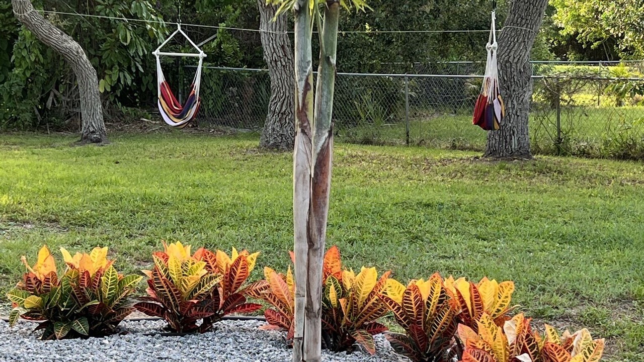 Photo of Outdoor in Nokomis