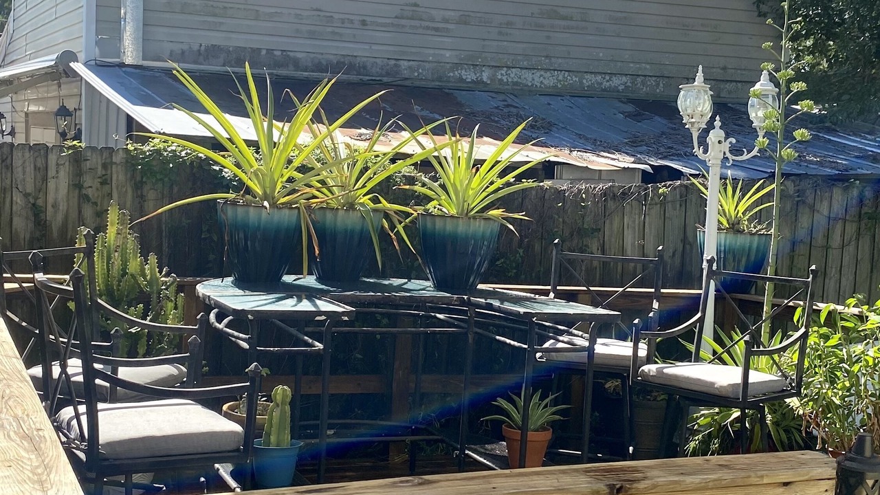 Photo of Outdoor in South Seminole Heights