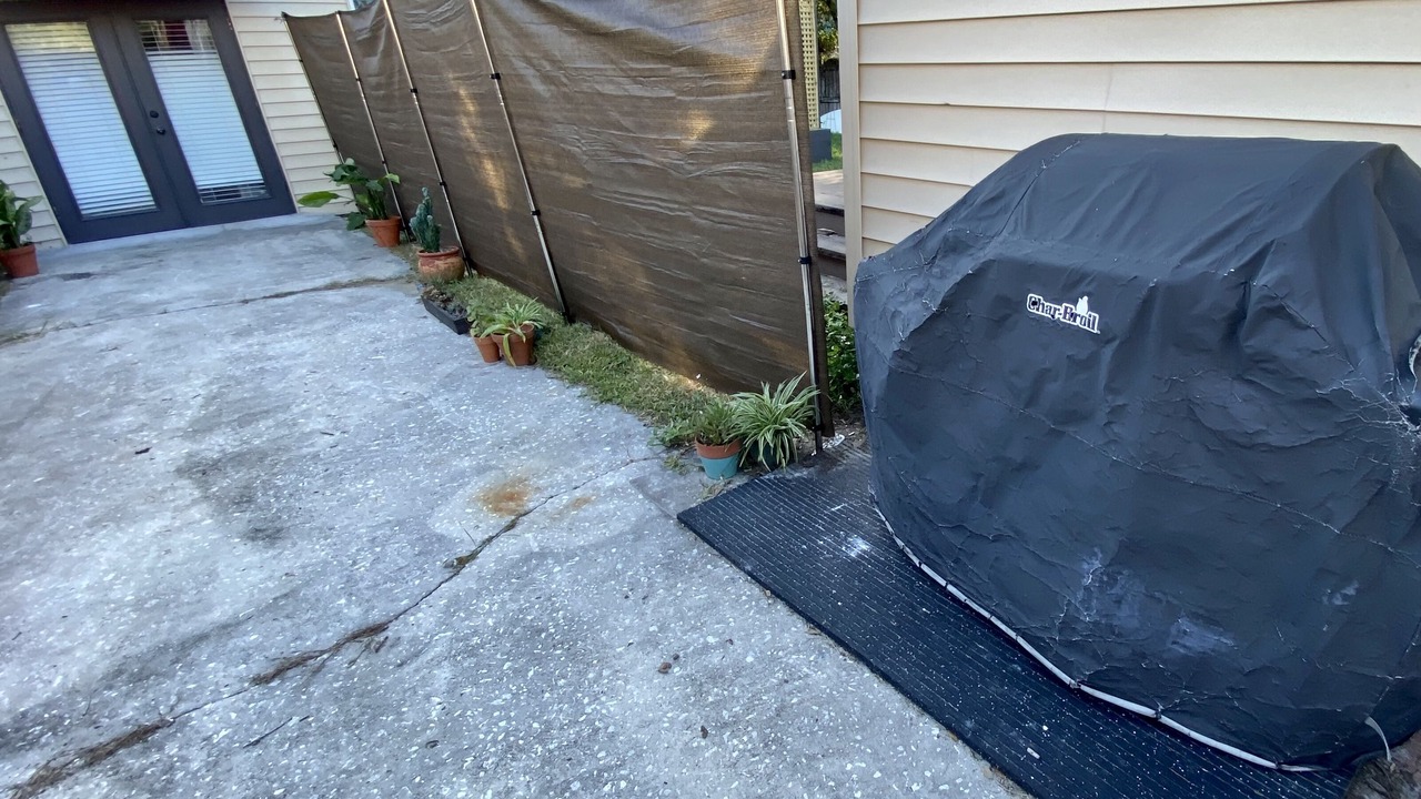 Photo of Outdoor in South Seminole Heights