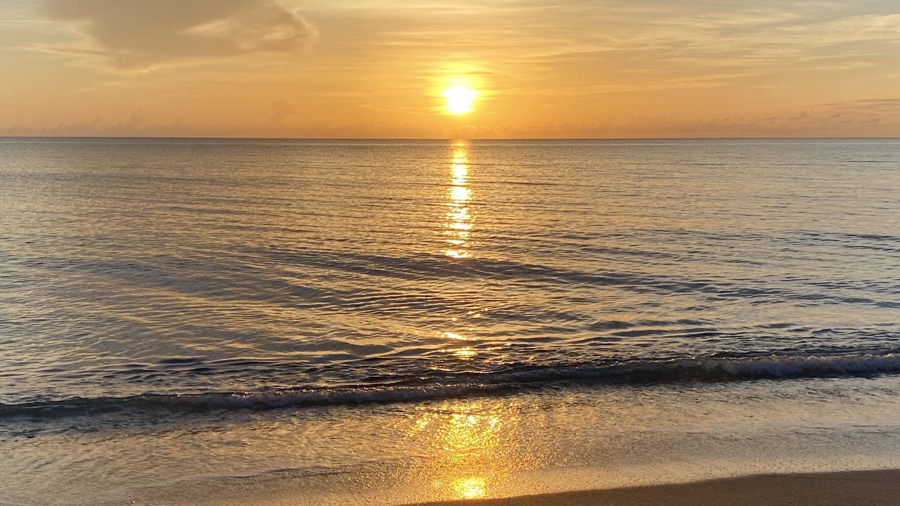 Photo of Others in Hobe Sound