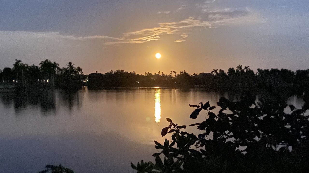 Photo of Others in Hobe Sound